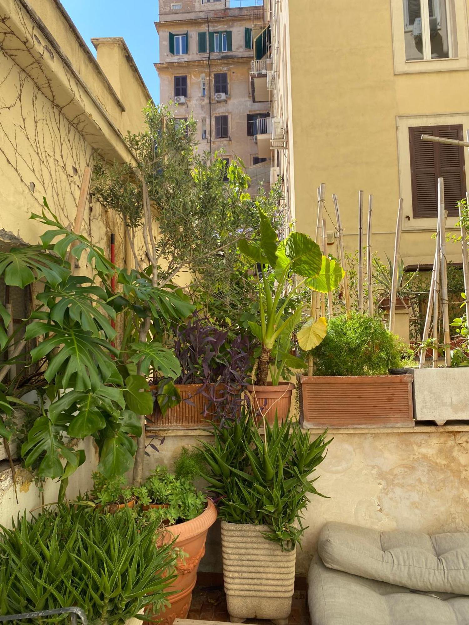 Il Plancton Hotel Rome Exterior photo
